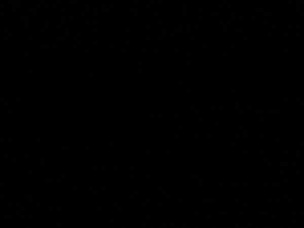 번역기 사용하는 분들! 이거 꼭 주의하세요.