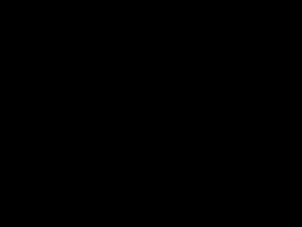 베트남 여행 준비물 체크하기!